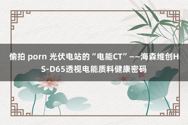 偷拍 porn 光伏电站的“电能CT”——海森维创HS-D65透视电能质料健康密码