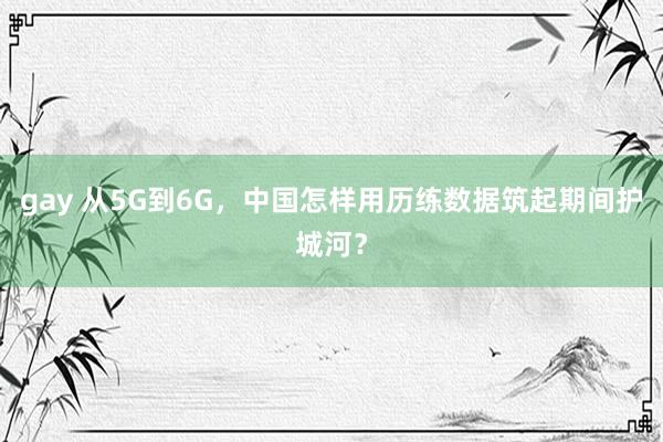 gay 从5G到6G，中国怎样用历练数据筑起期间护城河？