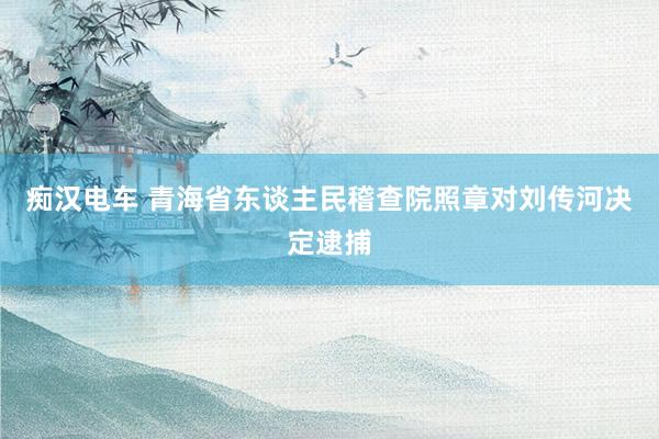 痴汉电车 青海省东谈主民稽查院照章对刘传河决定逮捕