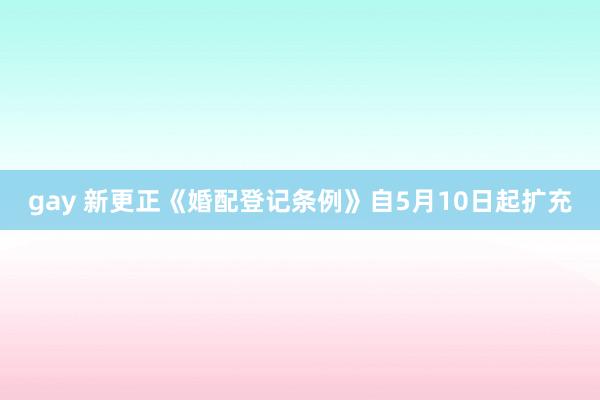 gay 新更正《婚配登记条例》自5月10日起扩充