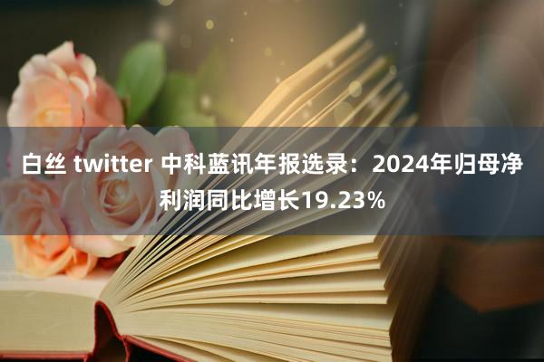 白丝 twitter 中科蓝讯年报选录：2024年归母净利润同比增长19.23%