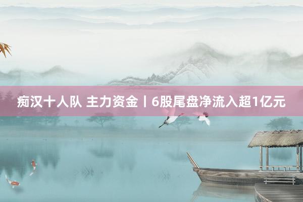 痴汉十人队 主力资金丨6股尾盘净流入超1亿元