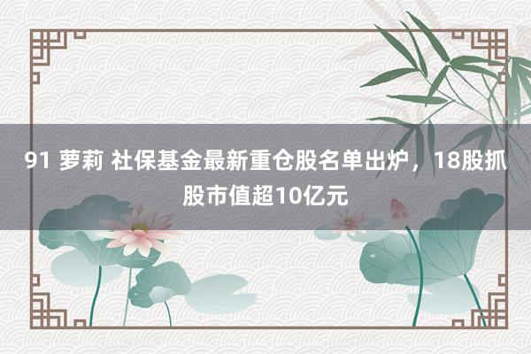 91 萝莉 社保基金最新重仓股名单出炉，18股抓股市值超10亿元