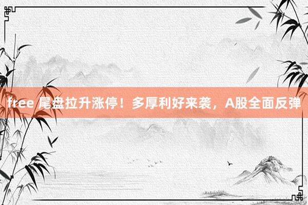 free 尾盘拉升涨停！多厚利好来袭，A股全面反弹