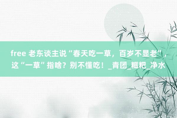 free 老东谈主说“春天吃一草，百岁不显老”，这“一草”指啥？别不懂吃！_青团_糍粑_净水