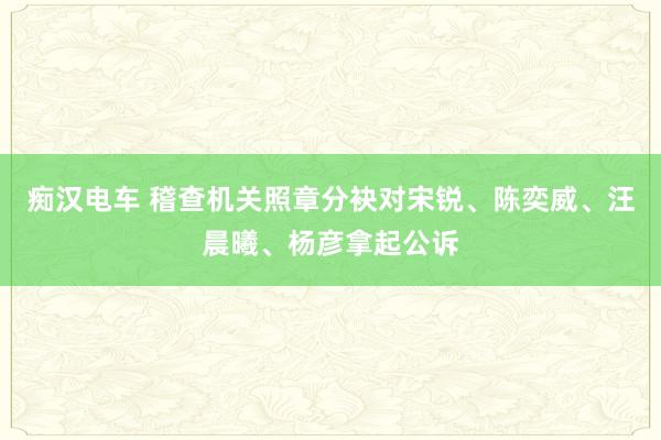痴汉电车 稽查机关照章分袂对宋锐、陈奕威、汪晨曦、杨彦拿起公诉