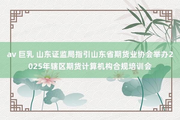 av 巨乳 山东证监局指引山东省期货业协会举办2025年辖区期货计算机构合规培训会