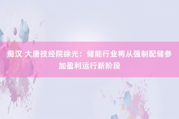 痴汉 大唐技经院徐光：储能行业将从强制配储参加盈利运行新阶段