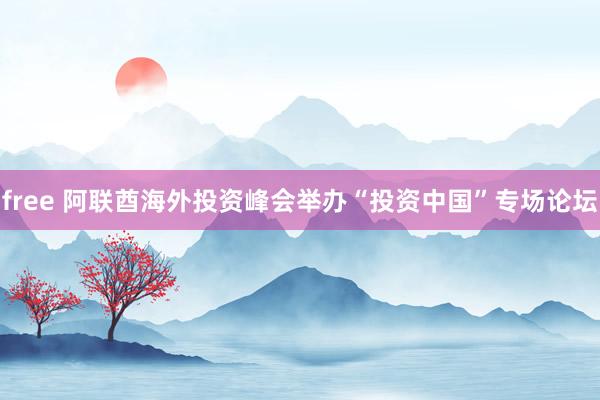 free 阿联酋海外投资峰会举办“投资中国”专场论坛