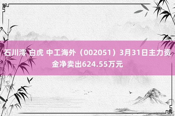 石川澪 白虎 中工海外（002051）3月31日主力资金净卖出624.55万元