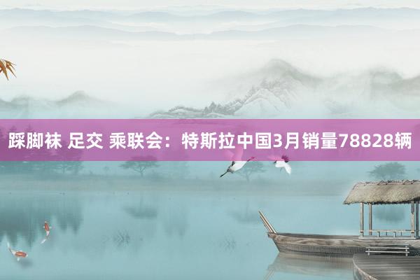 踩脚袜 足交 乘联会：特斯拉中国3月销量78828辆
