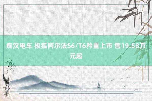 痴汉电车 极狐阿尔法S6/T6矜重上市 售19.58万元起