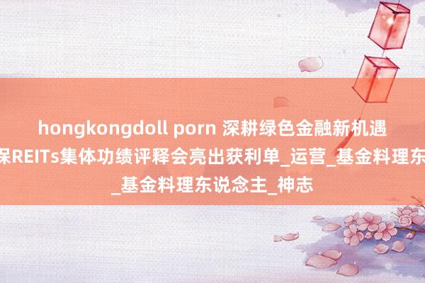 hongkongdoll porn 深耕绿色金融新机遇 沪市动力环保REITs集体功绩评释会亮出获利单_运营_基金料理东说念主_神志