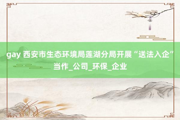 gay 西安市生态环境局莲湖分局开展“送法入企”当作_公司_环保_企业