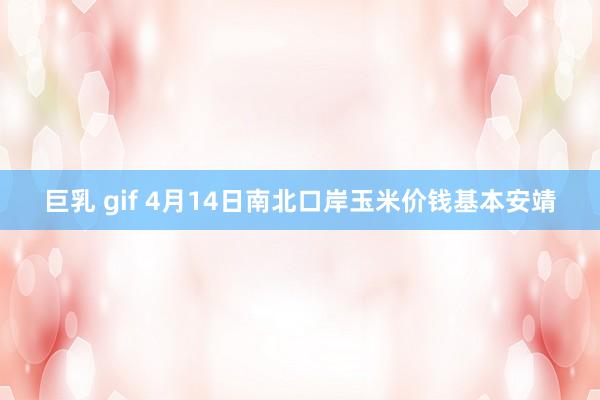 巨乳 gif 4月14日南北口岸玉米价钱基本安靖