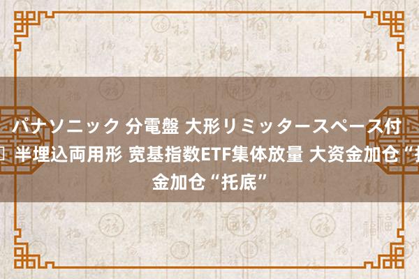 パナソニック 分電盤 大形リミッタースペース付 露出・半埋込両用形 宽基指数ETF集体放量 大资金加仓“托底”