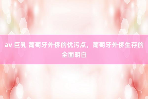 av 巨乳 葡萄牙外侨的优污点，葡萄牙外侨生存的全面明白