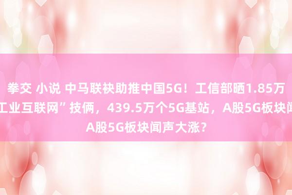 拳交 小说 中马联袂助推中国5G！工信部晒1.85万个“5G+工业互联网”技俩，439.5万个5G基站，A股5G板块闻声大涨？