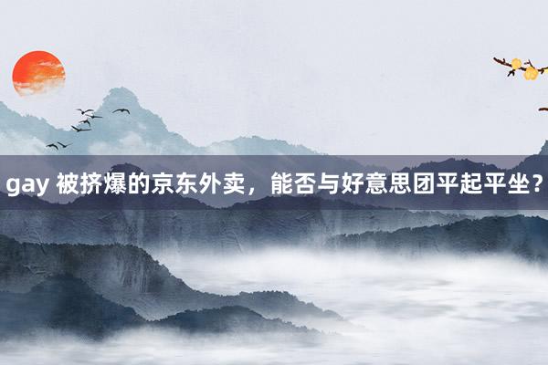 gay 被挤爆的京东外卖，能否与好意思团平起平坐？