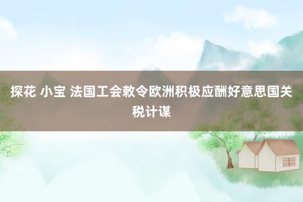 探花 小宝 法国工会敕令欧洲积极应酬好意思国关税计谋