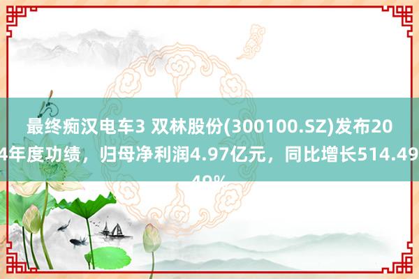 最终痴汉电车3 双林股份(300100.SZ)发布2024年度功绩，归母净利润4.97亿元，同比增长514.49%