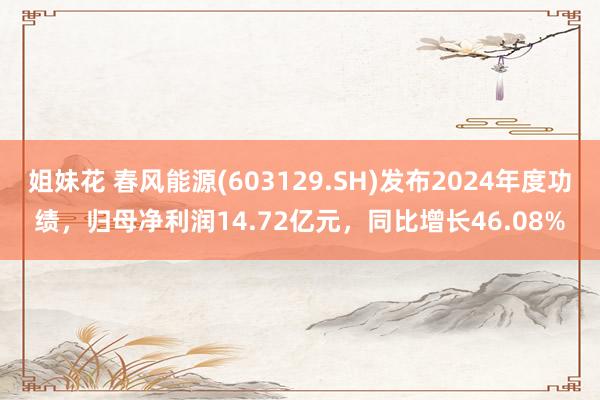 姐妹花 春风能源(603129.SH)发布2024年度功绩，归母净利润14.72亿元，同比增长46.08%
