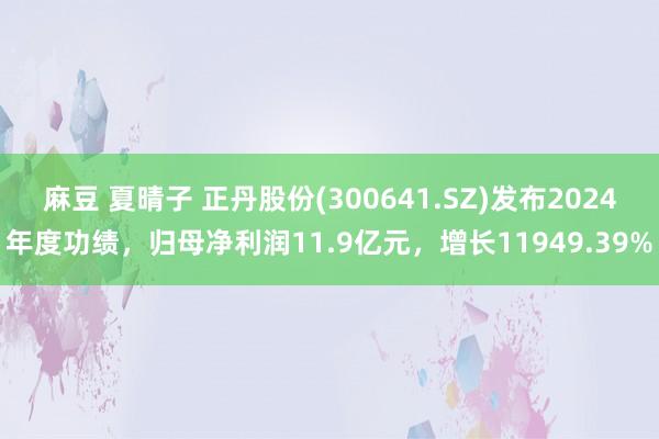 麻豆 夏晴子 正丹股份(300641.SZ)发布2024年度功绩，归母净利润11.9亿元，增长11949.39%