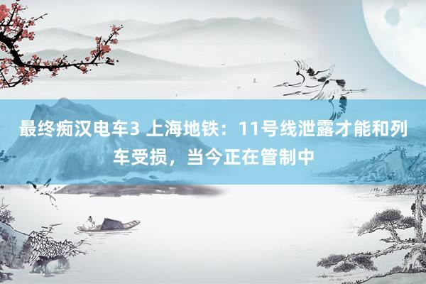 最终痴汉电车3 上海地铁：11号线泄露才能和列车受损，当今正在管制中