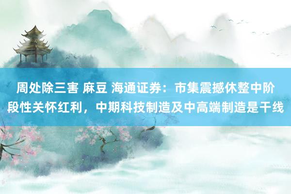 周处除三害 麻豆 海通证券：市集震撼休整中阶段性关怀红利，中期科技制造及中高端制造是干线