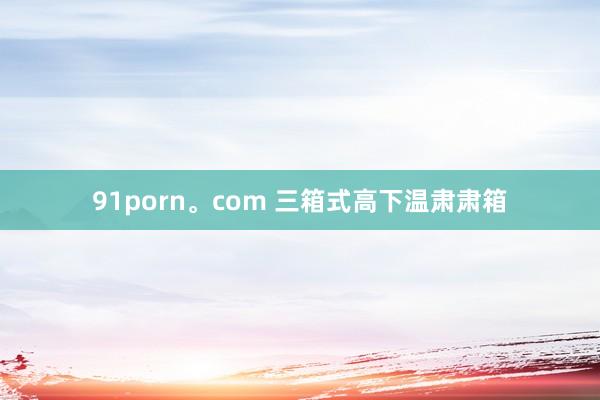 91porn。com 三箱式高下温肃肃箱