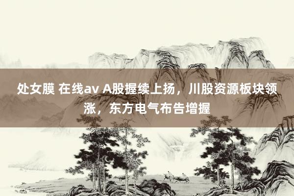 处女膜 在线av A股握续上扬，川股资源板块领涨，东方电气布告增握