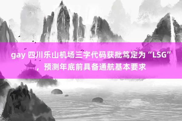 gay 四川乐山机场三字代码获批笃定为“LSG”，预测年底前具备通航基本要求