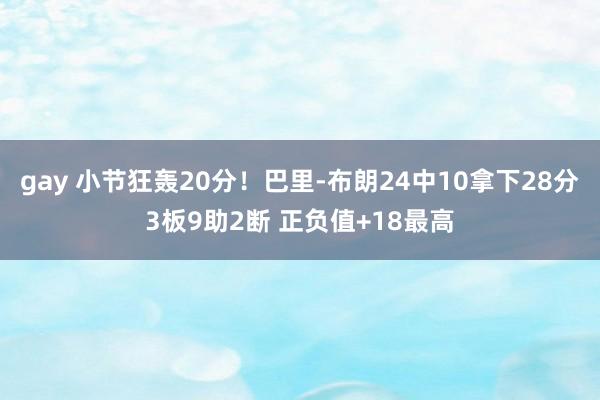 gay 小节狂轰20分！巴里-布朗24中10拿下28分3板9助2断 正负值+18最高