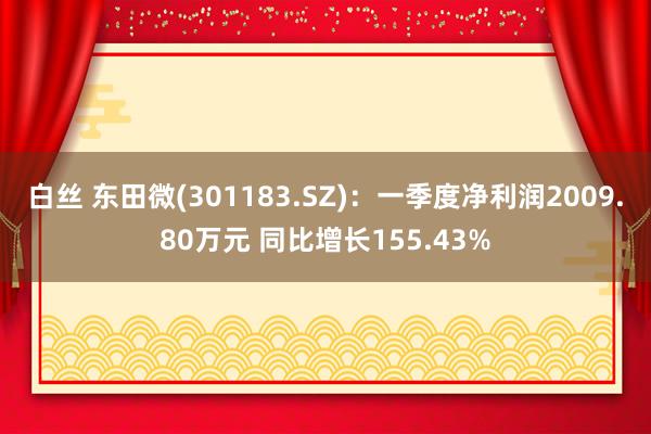 白丝 东田微(301183.SZ)：一季度净利润2009.80万元 同比增长155.43%