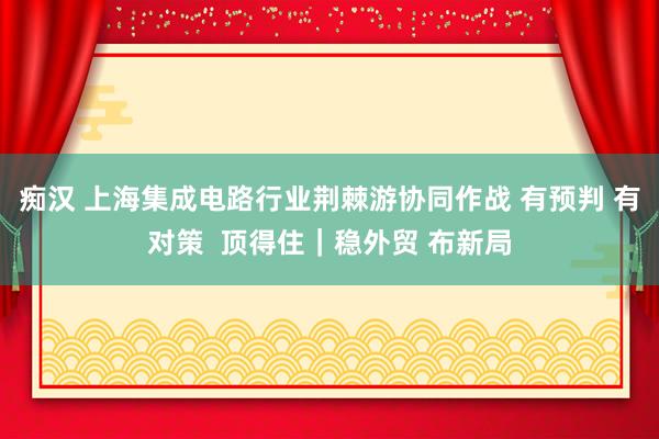 痴汉 上海集成电路行业荆棘游协同作战 有预判 有对策  顶得住｜稳外贸 布新局
