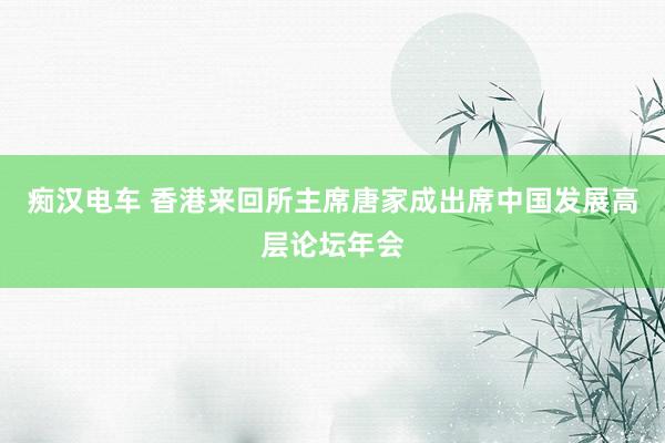 痴汉电车 香港来回所主席唐家成出席中国发展高层论坛年会