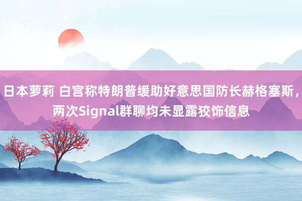 日本萝莉 白宫称特朗普缓助好意思国防长赫格塞斯，两次Signal群聊均未显露狡饰信息