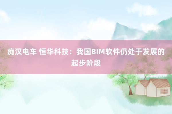 痴汉电车 恒华科技：我国BIM软件仍处于发展的起步阶段