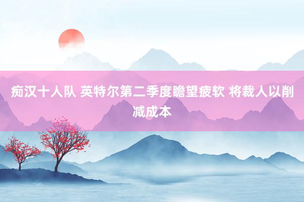 痴汉十人队 英特尔第二季度瞻望疲软 将裁人以削减成本