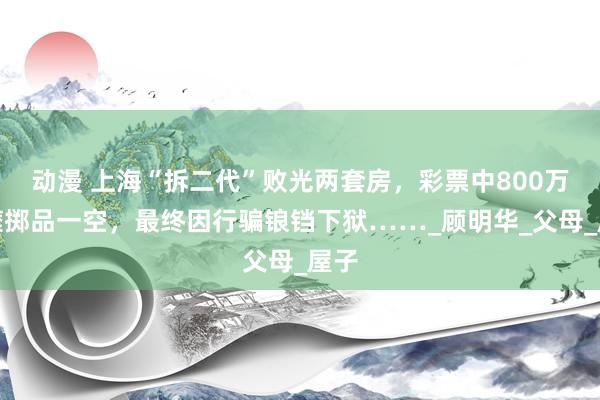 动漫 上海“拆二代”败光两套房，彩票中800万却糜掷品一空，最终因行骗锒铛下狱……_顾明华_父母_屋子