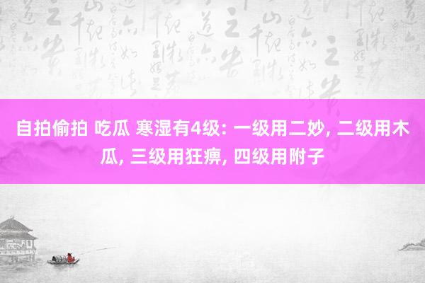 自拍偷拍 吃瓜 寒湿有4级: 一级用二妙， 二级用木瓜， 三级用狂痹， 四级用附子