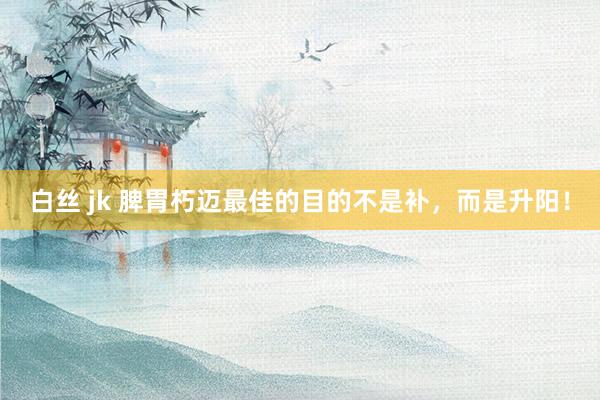 白丝 jk 脾胃朽迈最佳的目的不是补，而是升阳！